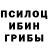 Псилоцибиновые грибы Psilocybine cubensis Thisisveryrandom