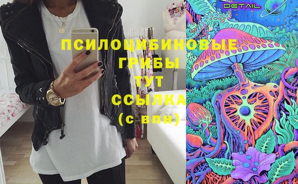 apvp Алексеевка