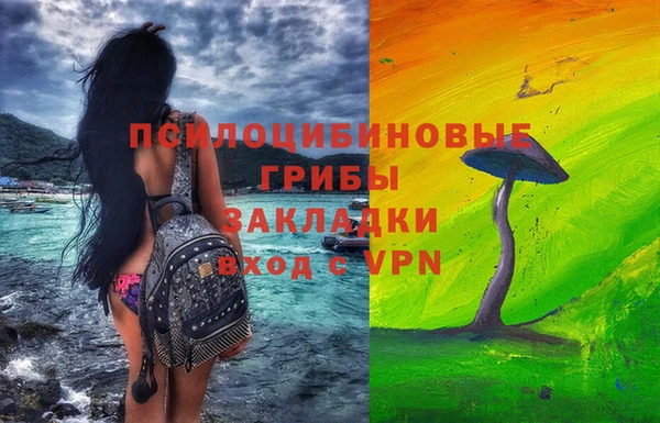 твердый Алексин