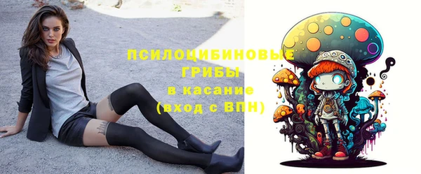 винт Алзамай