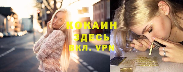 винт Алзамай