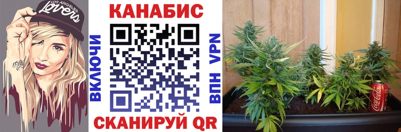 Канабис Amnesia  где купить наркоту  Болгар 